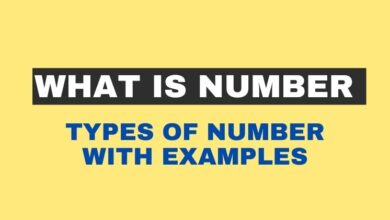What Is Number in Grammar