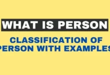 What is Person Classification of Person with Examples